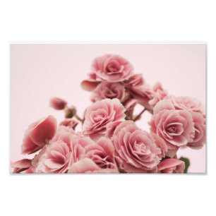 Impression Photo Jolies fleurs roses