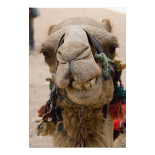 Impression Photo Jordanie, ancienne ville nabatéenne de Petra