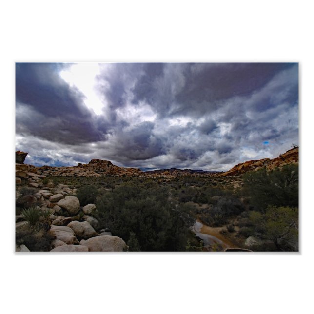Impression Photo Joshua Tree (Devant)