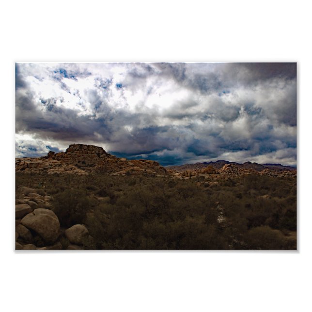Impression Photo Joshua Tree (Devant)