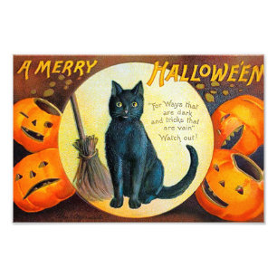Impression Photo Joyeux chat Halloween