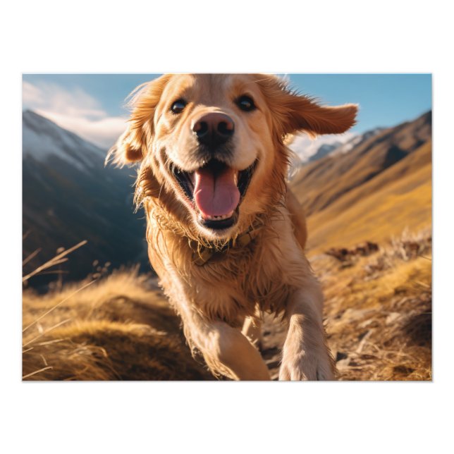 Impression Photo Joyeux Golden Retriever en cours (Devant)