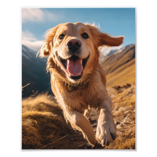 Impression Photo Joyeux Golden Retriever en cours (Devant)