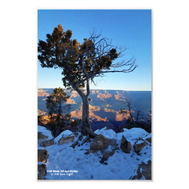 Impression Photo Juniper Tree En Neige Au lever Du Soleil Dans Gran (Devant)