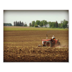 Impression Photo Kalona, Iowa Field Work