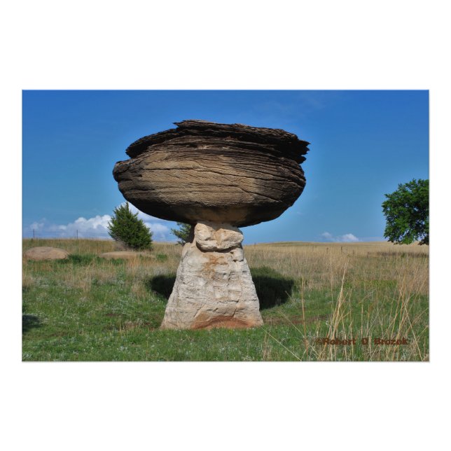 Impression Photo Kansas Mushroom Rock dans un pâturage Photo/Poster (Devant)
