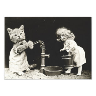 Impression Photo Kitten & Doll à Water Well