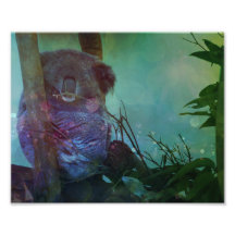 "Koala dormant"