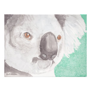 Impression Photo Koala Ier