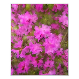 Impression Photo KODAK Imprimer Rhododendron violet