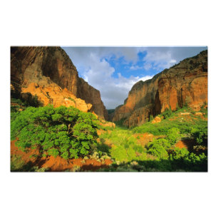 Impression Photo Kolob Canyon à Zion Canyon dans le parc national d