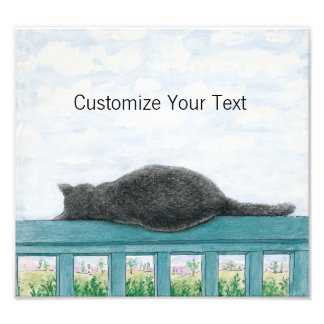 Impression Photo Kramer Le Chat Dormir Sur Le Balcon