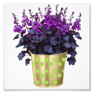 Impression Photo La beauté des plantes et des fleurs" Vocabu clé