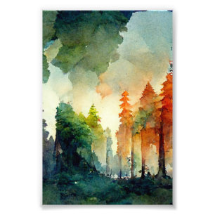 Impression Photo La forêt (nature)