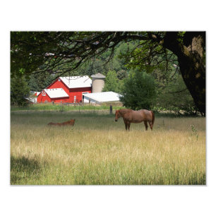 Impression Photo La Grange Rouge Et Les Chevaux