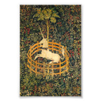 La licorne en captivité