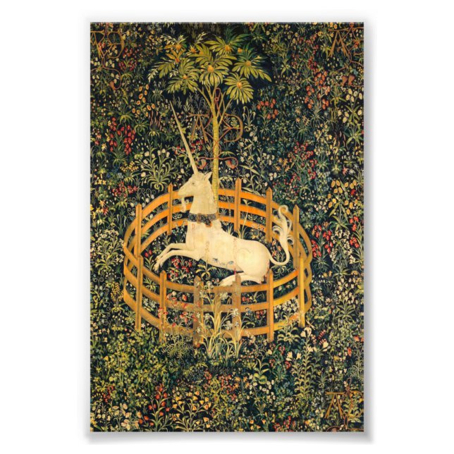 Impression Photo La licorne en captivité (Devant)