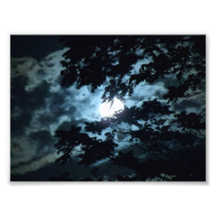 Impression Photo La lune illumine la nuit derrière des branches