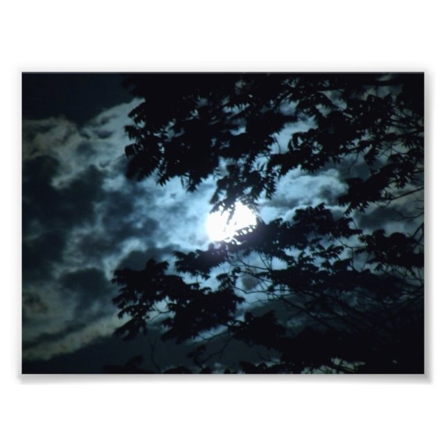 Impression Photo La Lune illumine la nuit derrière les branches des (Devant)