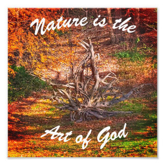 Impression Photo "La nature est l'art de Dieu" Citation Imprimer