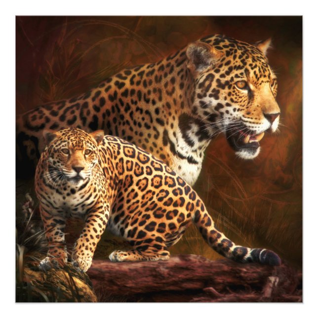 IMPRESSION PHOTO LA NUIT SAUVAGE DE LEOPARD (Devant)