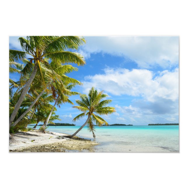 Impression Photo La plage de palmiers du Pacifique (Devant)