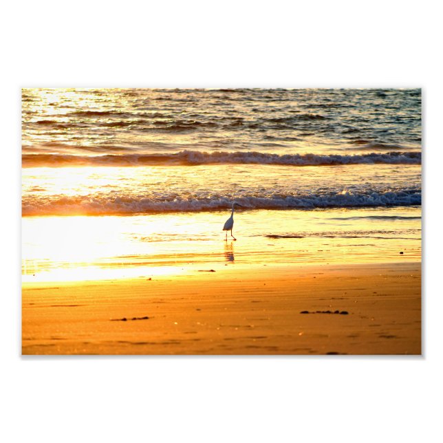 Impression Photo La plage d'El Porto Manhattan (Devant)