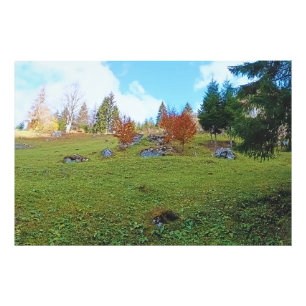 Impression Photo La Prairie de Montagne - Nature Sauvage Roumanie