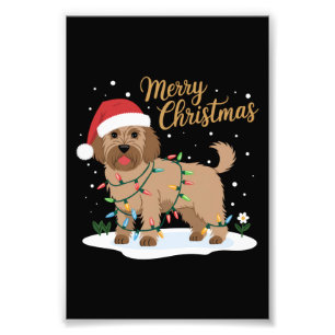 Impression Photo Labradoodle Joyeux Noël Funny Noël Amoureux des ch