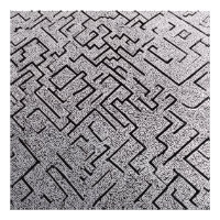 Labyrinthe Intriqué Noir & Blanc