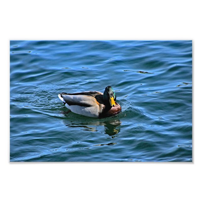 Impression Photo Lac Arrowhead (Devant)