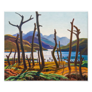 Impression Photo Lac Cranberry   Franklin Carmichael  