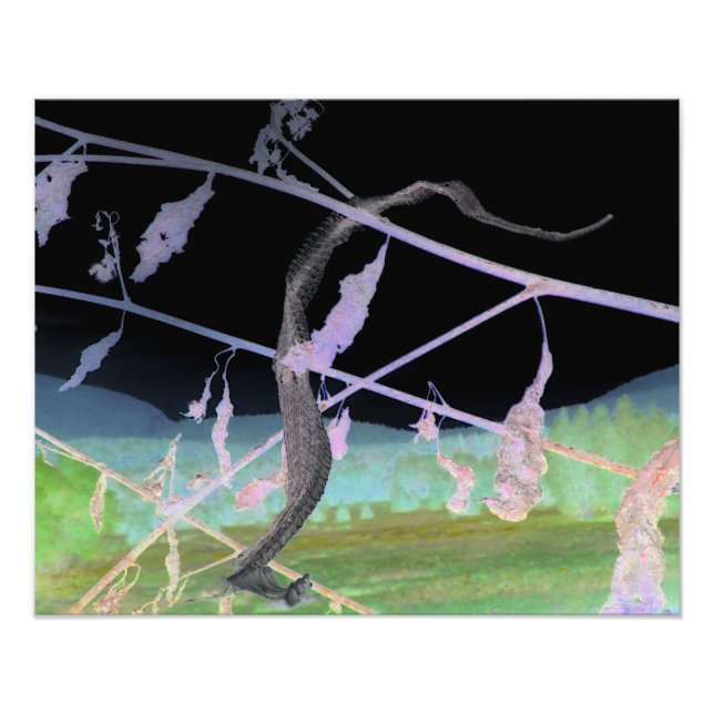 Impression Photo "L'adieu du serpent" Transformé Snakeskin (Devant)