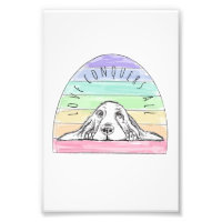 l'amour conquiert tout chien arc-en-ciel basset ho