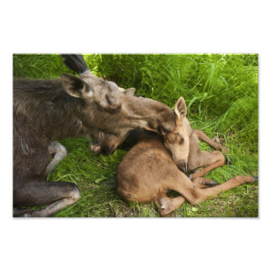 Impression Photo L'amour d'une mère