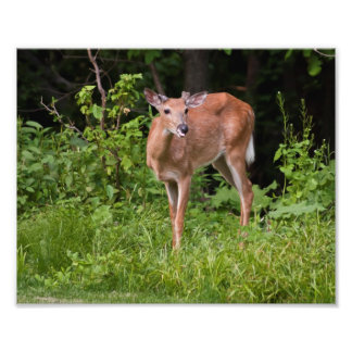 Impression Photo L'année