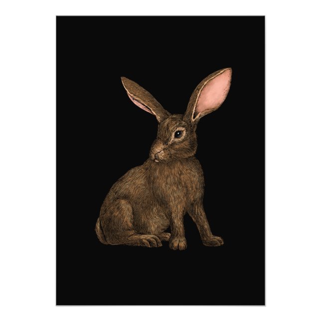 Impression Photo Lapin 4 (Devant)