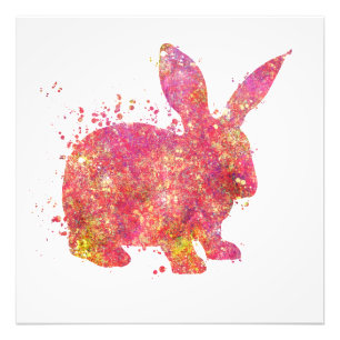 Impression Photo Lapin Animal Domestique Sauvage Nature Monde Terre