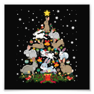 Impression Photo Lapin de Noël Funny Lapin Amusant Lapin Amoureux N