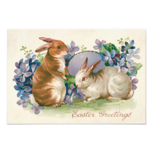 Impression Photo Lapin de Pâques Œuf Coloré Ne m'oubliez pas