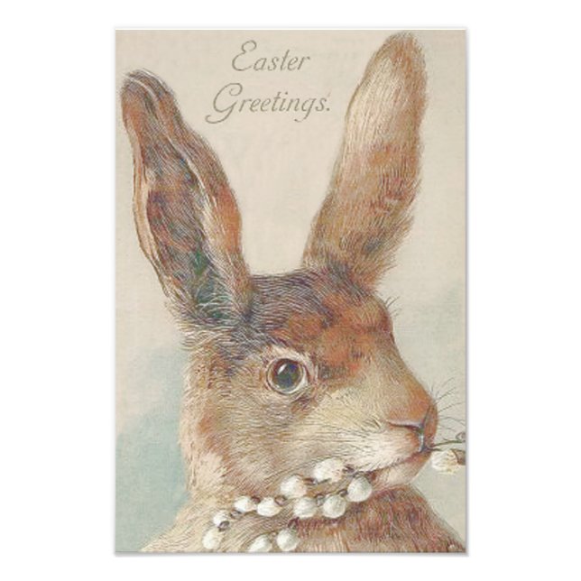 Impression Photo Lapin de Pâques vintage (Devant)