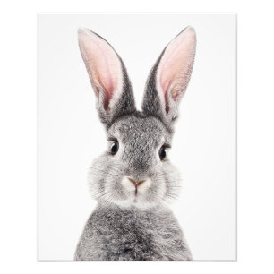 Impression Photo Lapin gris avec de longues oreilles roses