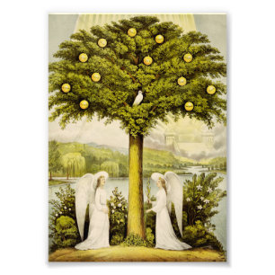Impression Photo L'arbre de vie
