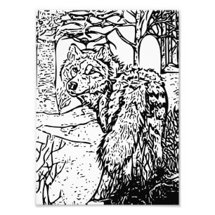 Impression Photo L'art loup