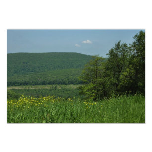 Impression Photo Laurel Highlands Pennsylvania Summer Photography