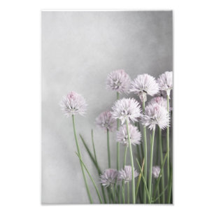 Impression Photo Lavande Et Ciboulette Verte Sur Gris Doux