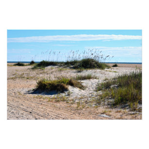 Impression Photo L'avoine marine sur la plage de l'océan