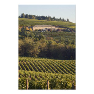 Impression Photo Le bâtiment de bronzage du sommet du tir à l'arc