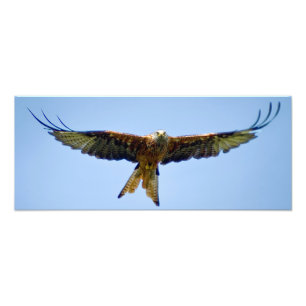 Impression Photo Le cerf-volant rouge