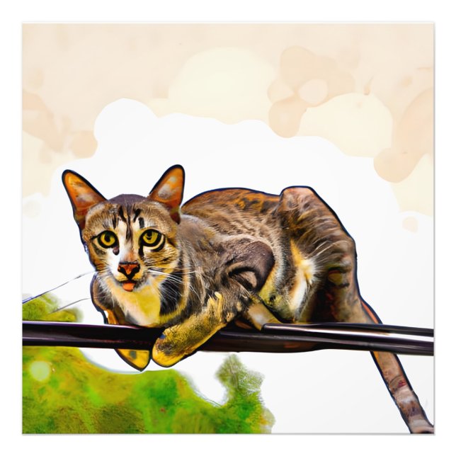Impression Photo Le chat du bengale (Devant)